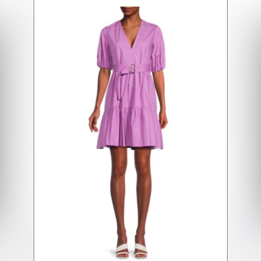 Pinko Nuvoloso V Neck Belted Dress Size Small (40)